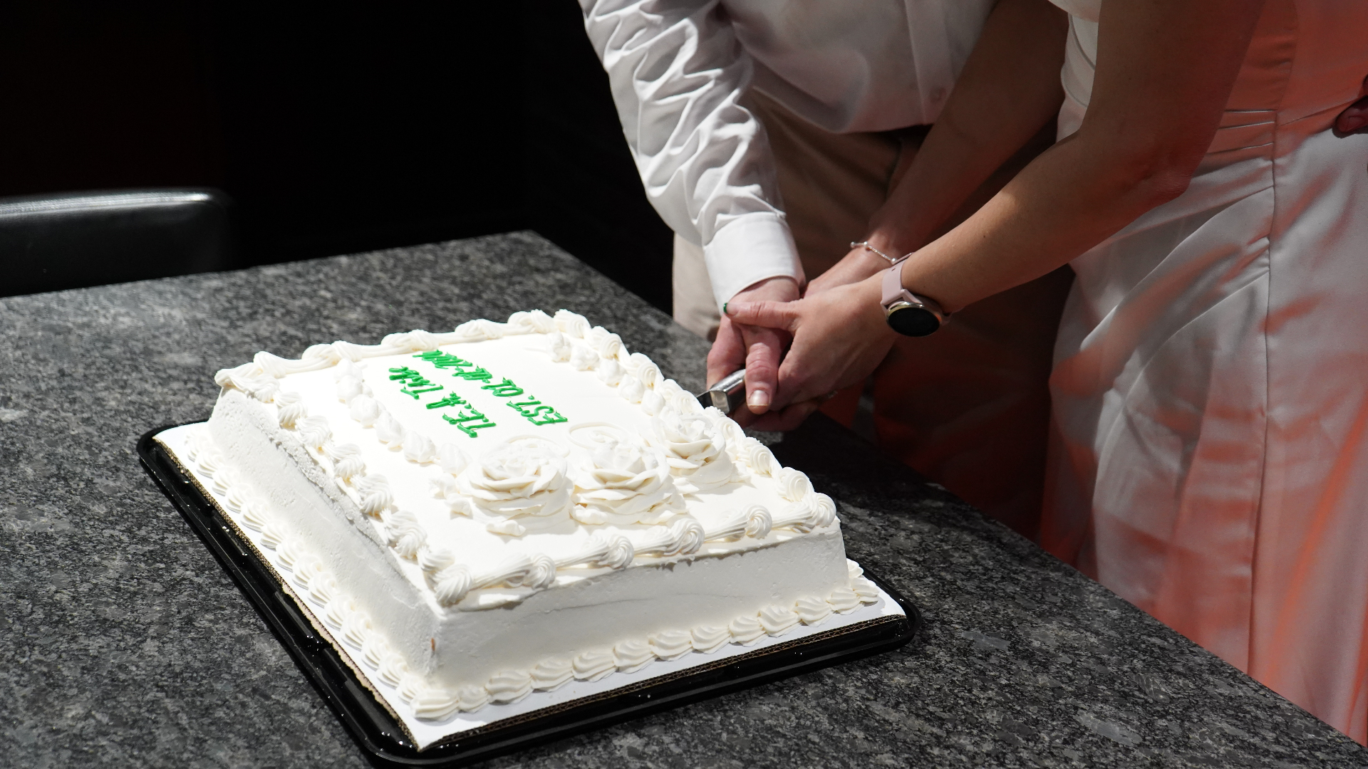 Bride and groom cutting the cake